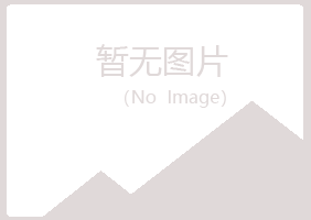 玉树从彤服务有限公司